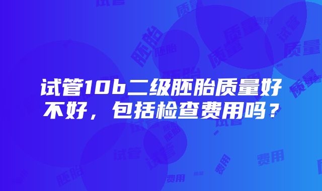 试管10b二级胚胎质量好不好，包括检查费用吗？