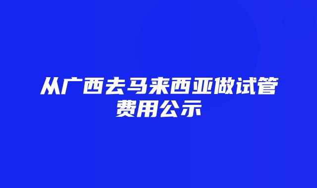 从广西去马来西亚做试管费用公示