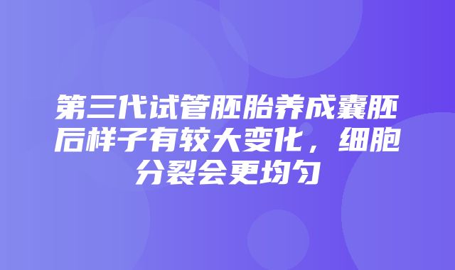 第三代试管胚胎养成囊胚后样子有较大变化，细胞分裂会更均匀