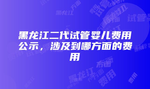 黑龙江二代试管婴儿费用公示，涉及到哪方面的费用