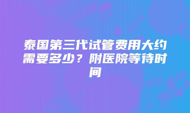 泰国第三代试管费用大约需要多少？附医院等待时间