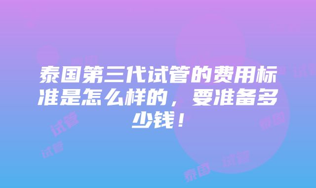 泰国第三代试管的费用标准是怎么样的，要准备多少钱！