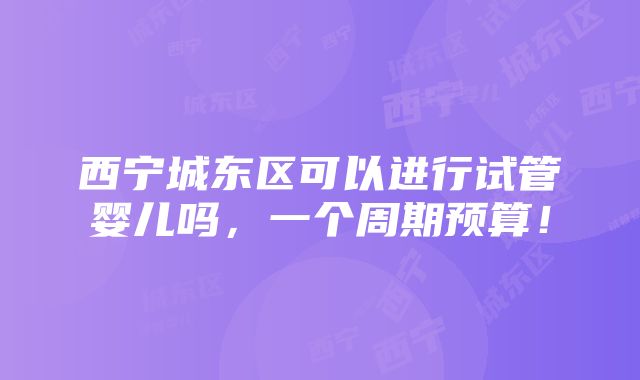 西宁城东区可以进行试管婴儿吗，一个周期预算！