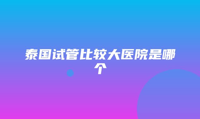 泰国试管比较大医院是哪个