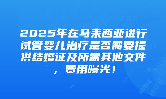 2025年在马来西亚进行试管婴儿治疗是否需要提供结婚证及所需其他文件，费用曝光！