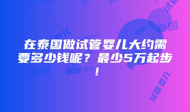 在泰国做试管婴儿大约需要多少钱呢？最少5万起步！