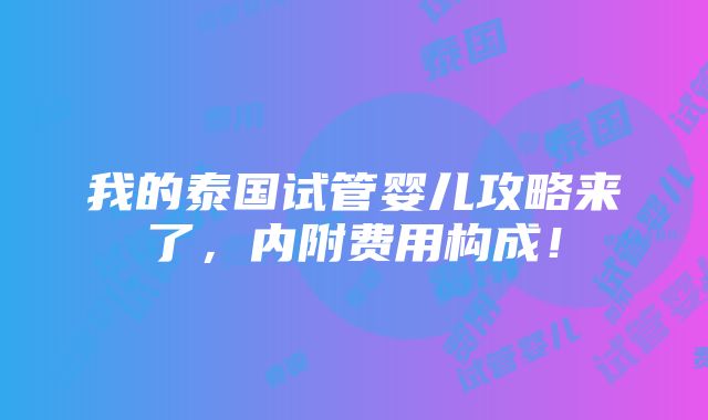 我的泰国试管婴儿攻略来了，内附费用构成！