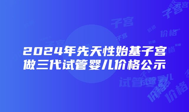 2024年先天性始基子宫做三代试管婴儿价格公示