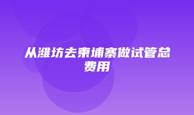 从潍坊去柬埔寨做试管总费用