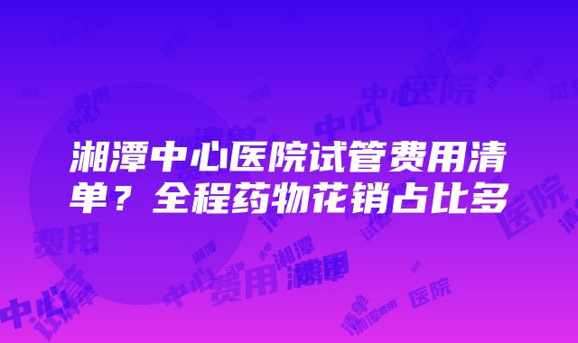 湘潭中心医院试管费用清单？全程药物花销占比多