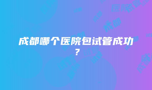 成都哪个医院包试管成功？