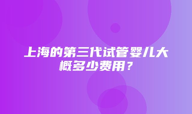 上海的第三代试管婴儿大概多少费用？