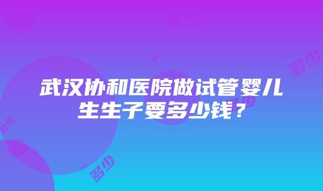 武汉协和医院做试管婴儿生生子要多少钱？