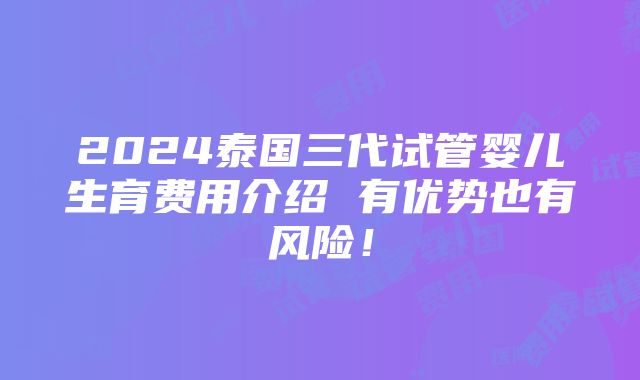 2024泰国三代试管婴儿生育费用介绍 有优势也有风险！