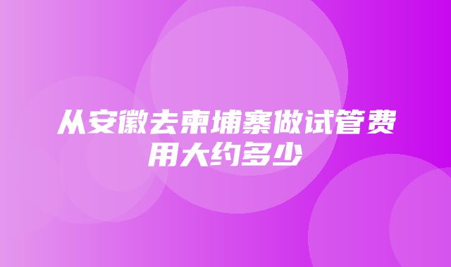 从安徽去柬埔寨做试管费用大约多少