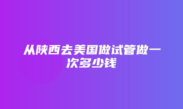 从陕西去美国做试管做一次多少钱