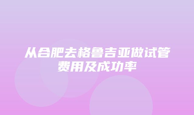 从合肥去格鲁吉亚做试管费用及成功率