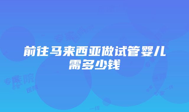 前往马来西亚做试管婴儿需多少钱