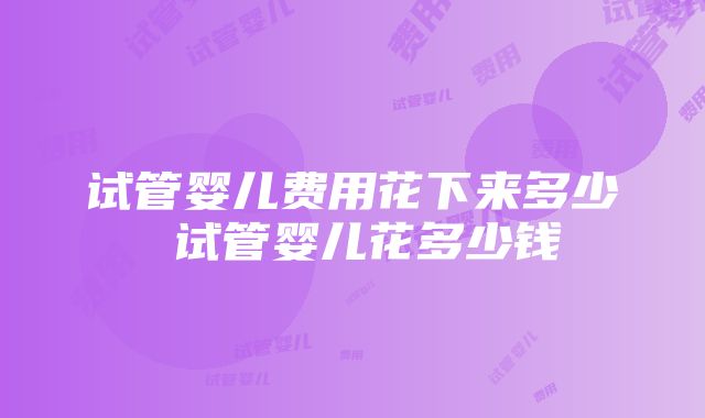 试管婴儿费用花下来多少 试管婴儿花多少钱