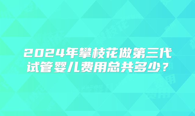 2024年攀枝花做第三代试管婴儿费用总共多少？