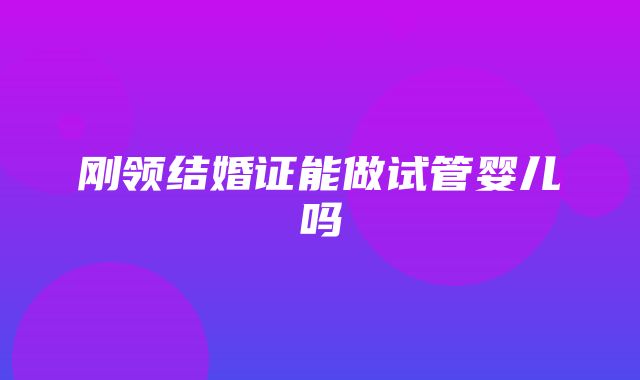 刚领结婚证能做试管婴儿吗