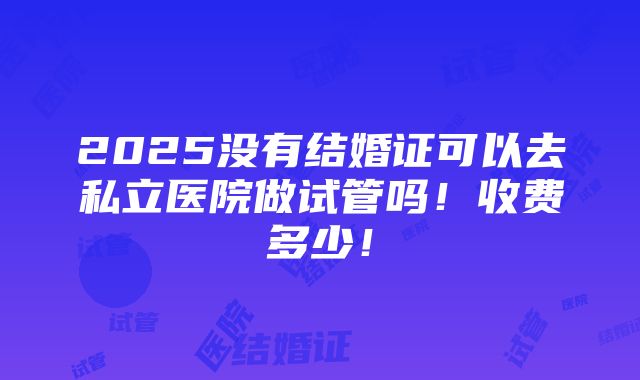 2025没有结婚证可以去私立医院做试管吗！收费多少！