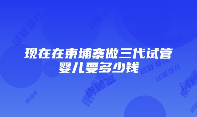 现在在柬埔寨做三代试管婴儿要多少钱