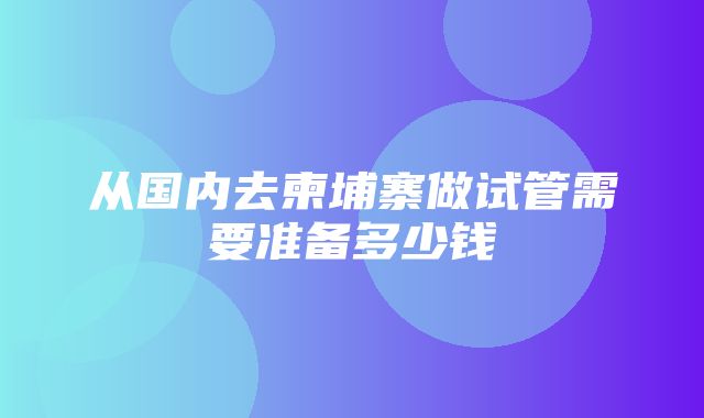 从国内去柬埔寨做试管需要准备多少钱