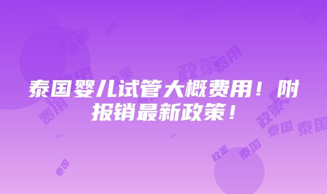 泰国婴儿试管大概费用！附报销最新政策！