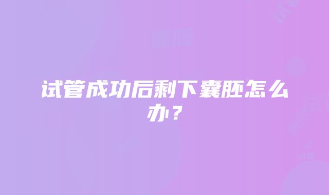 试管成功后剩下囊胚怎么办？