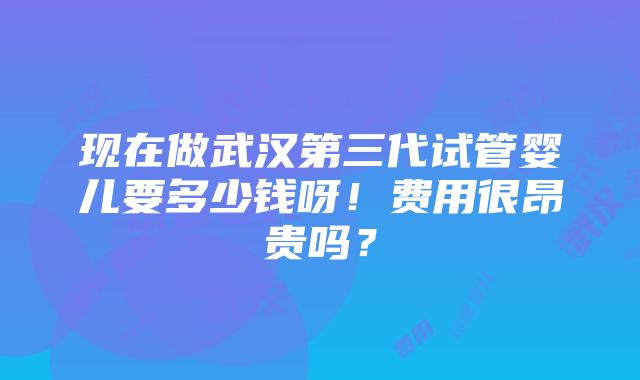 现在做武汉第三代试管婴儿要多少钱呀！费用很昂贵吗？