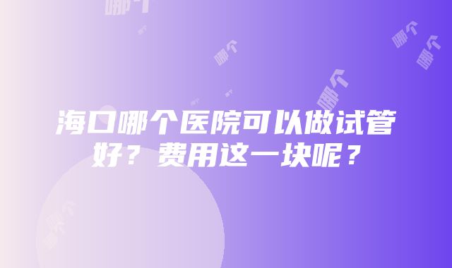 海口哪个医院可以做试管好？费用这一块呢？