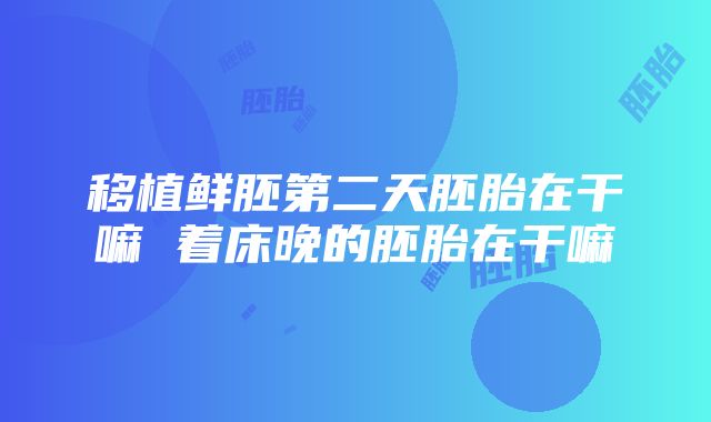 移植鲜胚第二天胚胎在干嘛 着床晚的胚胎在干嘛