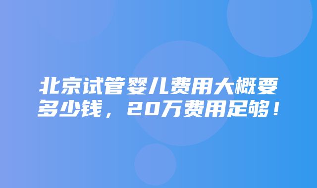 北京试管婴儿费用大概要多少钱，20万费用足够！