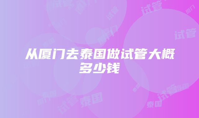 从厦门去泰国做试管大概多少钱