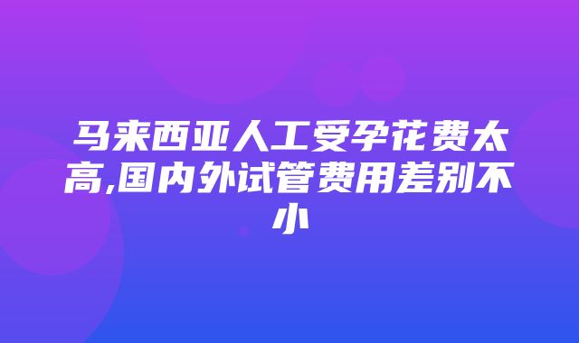 马来西亚人工受孕花费太高,国内外试管费用差别不小