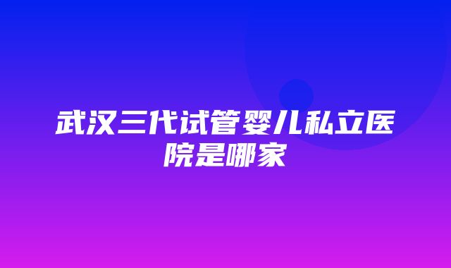 武汉三代试管婴儿私立医院是哪家