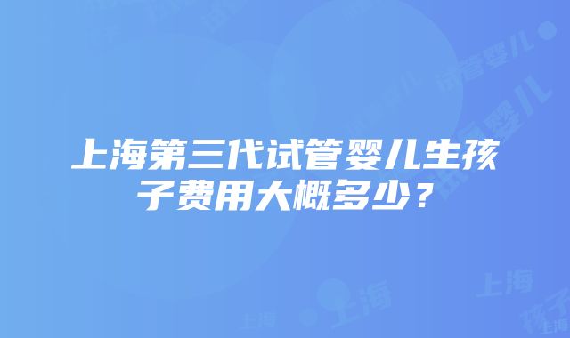 上海第三代试管婴儿生孩子费用大概多少？