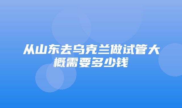 从山东去乌克兰做试管大概需要多少钱