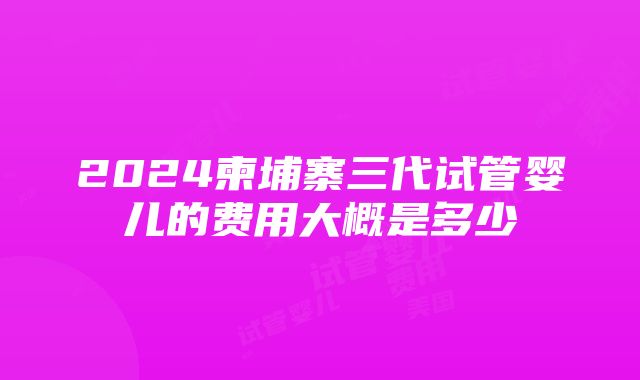 2024柬埔寨三代试管婴儿的费用大概是多少