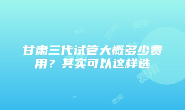 甘肃三代试管大概多少费用？其实可以这样选