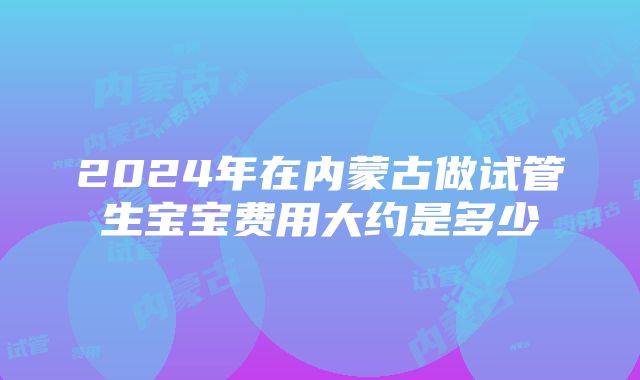 2024年在内蒙古做试管生宝宝费用大约是多少