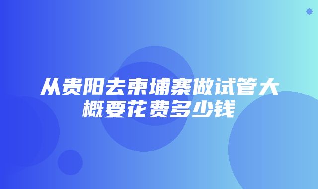 从贵阳去柬埔寨做试管大概要花费多少钱