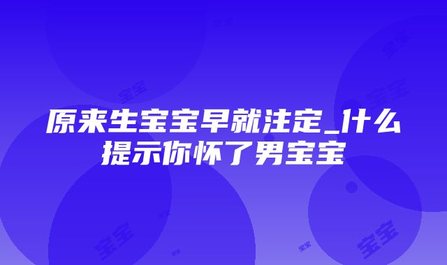 原来生宝宝早就注定_什么提示你怀了男宝宝