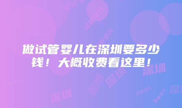 做试管婴儿在深圳要多少钱！大概收费看这里！