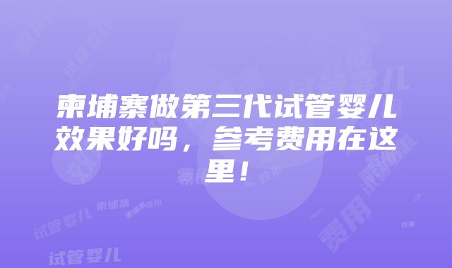 柬埔寨做第三代试管婴儿效果好吗，参考费用在这里！