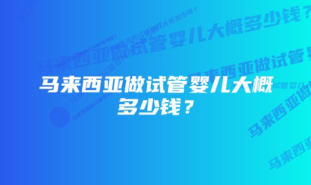 马来西亚做试管婴儿大概多少钱？