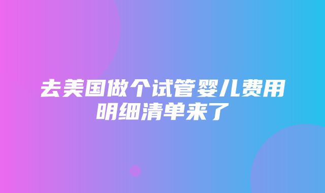 去美国做个试管婴儿费用明细清单来了