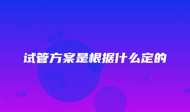 试管方案是根据什么定的