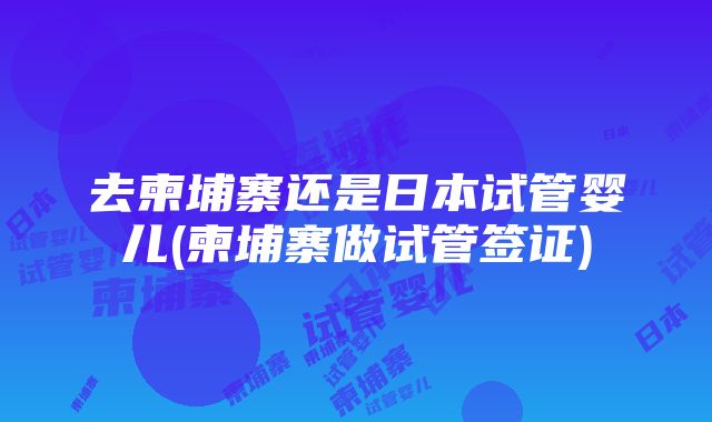 去柬埔寨还是日本试管婴儿(柬埔寨做试管签证)